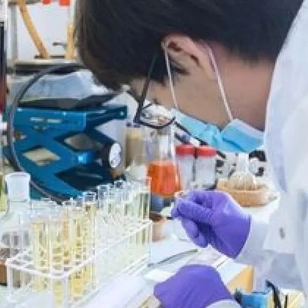 巴黎综合理工学院X：2年制英授硕士能源环境： 科学技术与管理硕士 STEEM