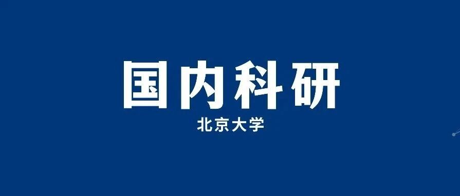 北京大学正教授科研项目：探究群体利益与社会公平