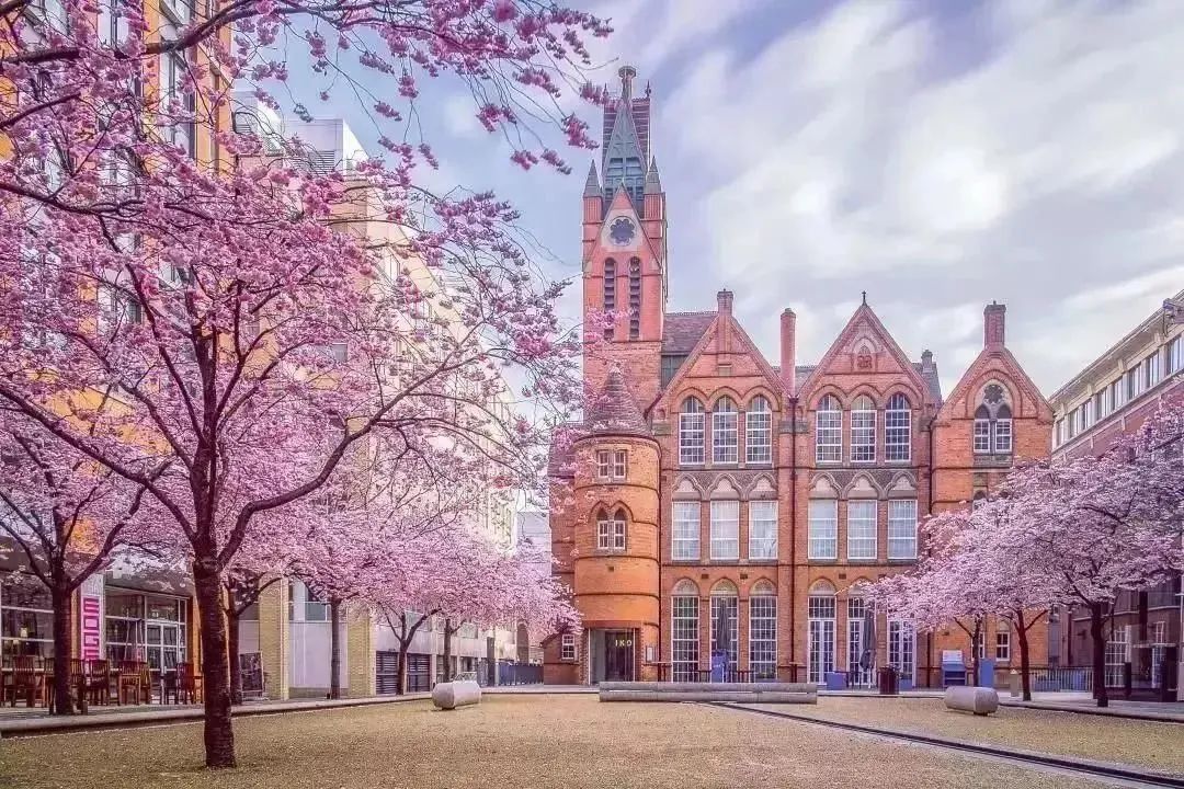 新加坡留学 | 2025年山东大学新加坡、马来西亚方向1+2/3国际本科招生简章！