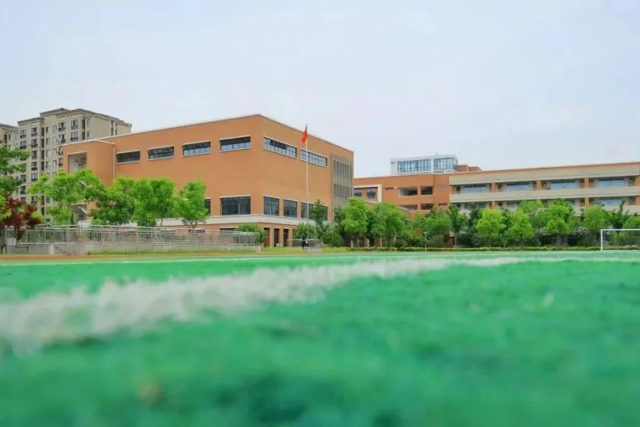 上海宝山区国际高中学校｜TICC存志学校，开设香港DSE及Alevel课程~