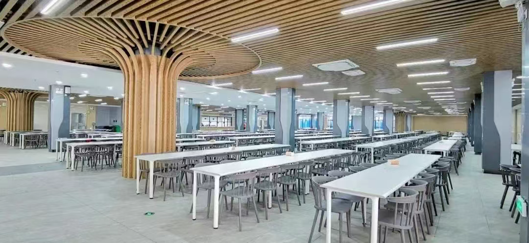 广东择校|佛山市惟德外国语实验学校国际部