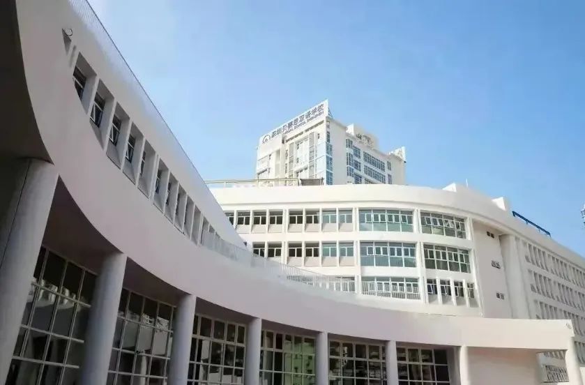 贝赛思入学难？来看看精英家长如何为孩子选择大湾区7所贝赛思 | 附备考规划