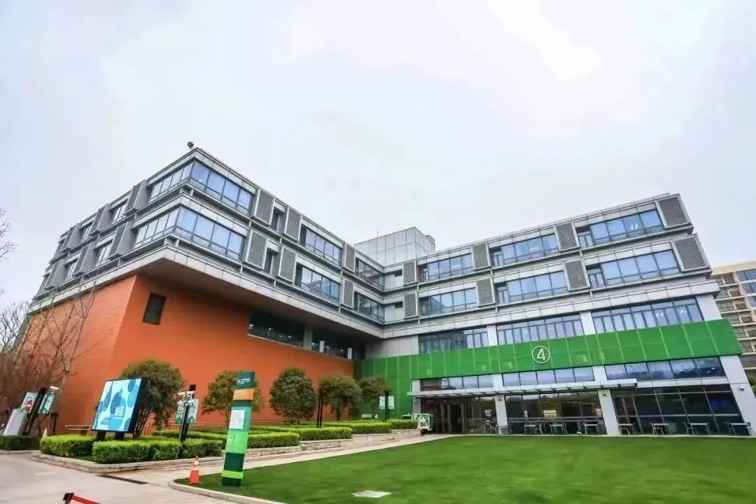 2026国际学校春招速递｜上海民办平和学校全解析：招生政策、考试难度、校园环境、课程设置一网打尽！​