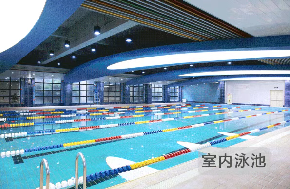 浙江择校|温州森马协和国际学校