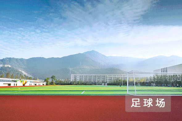 浙江择校|温州森马协和国际学校