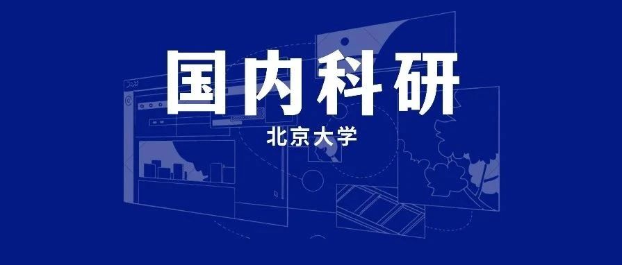 北京大学副教授科研项目：ChatGPT在对话生成等自然语言处理领域的算法原理探究