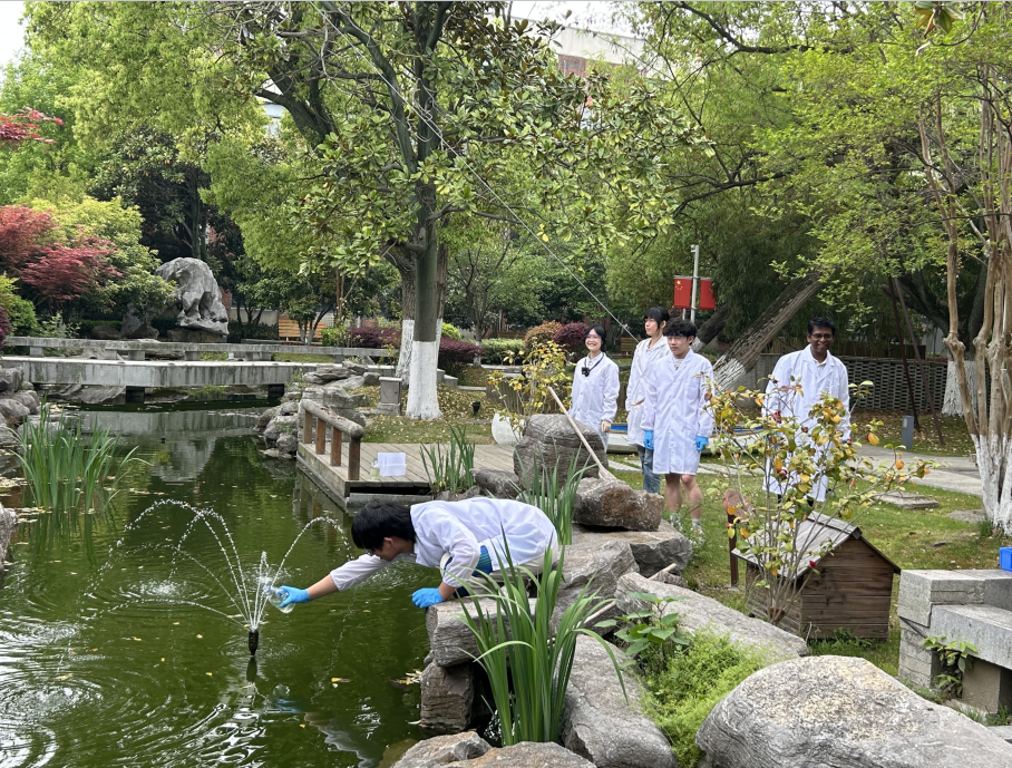Siva老师的生物实验室：25年国际老司机的“细胞级”带飞指南！