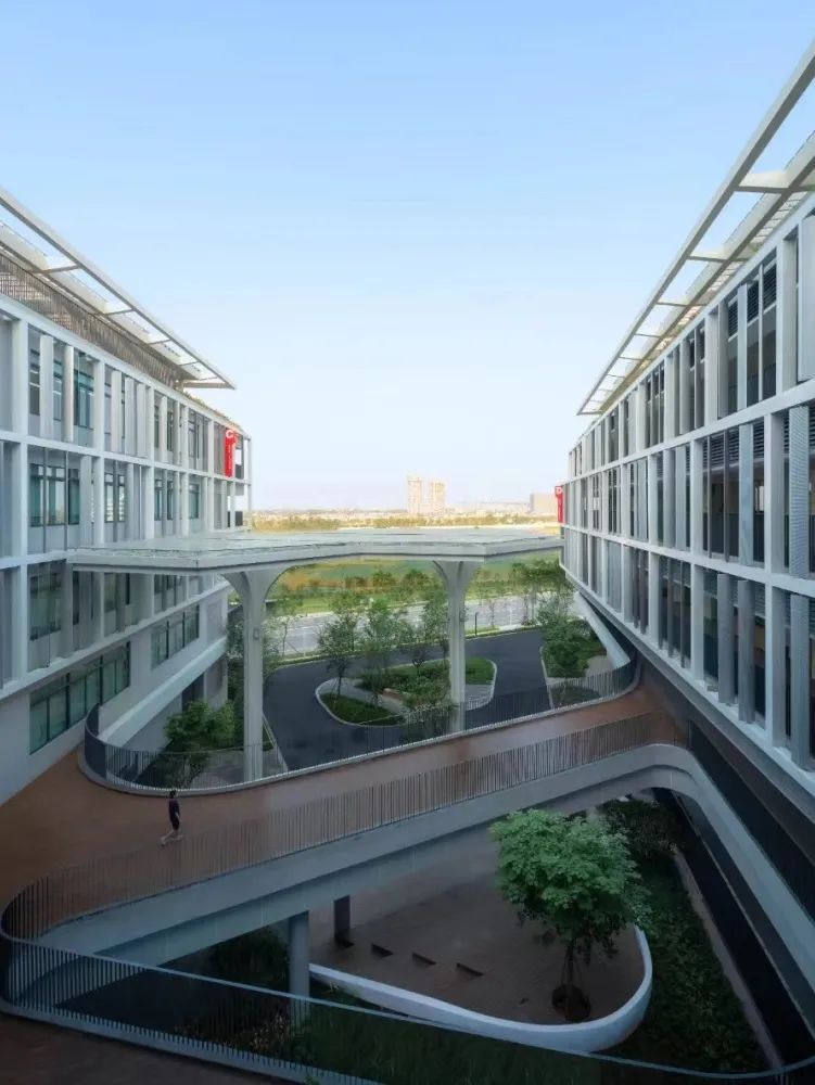 学校百科|揭秘大湾区DSE顶流学校——广州南沙民心港人子弟学校