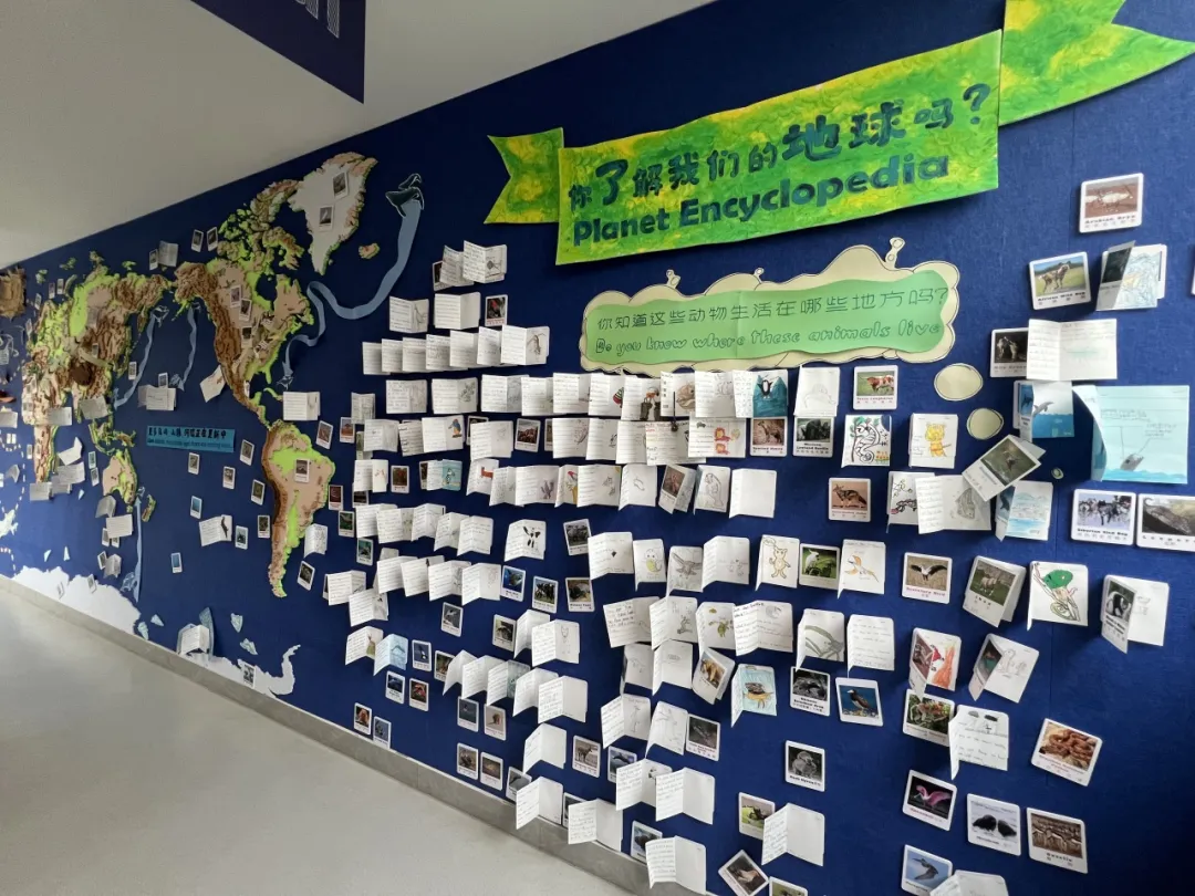 上海择校|上海市民办协和双语尚音学校