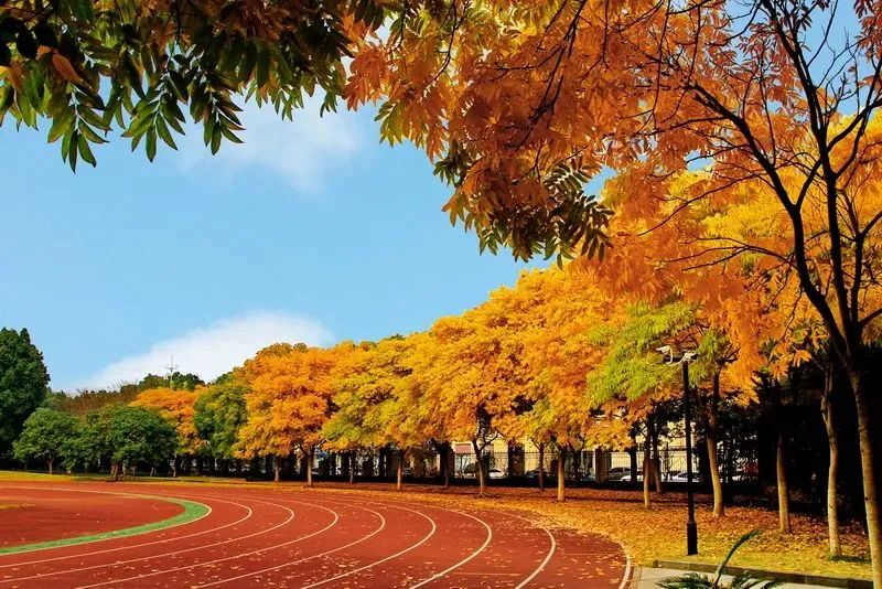 杭州国际学校丨杭州师范大学附属中学国际部