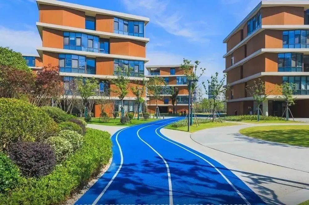 上海浦东新区国际高中学校｜上海市民办平和学校，开设IBDP、美高AP及Alevel课程！