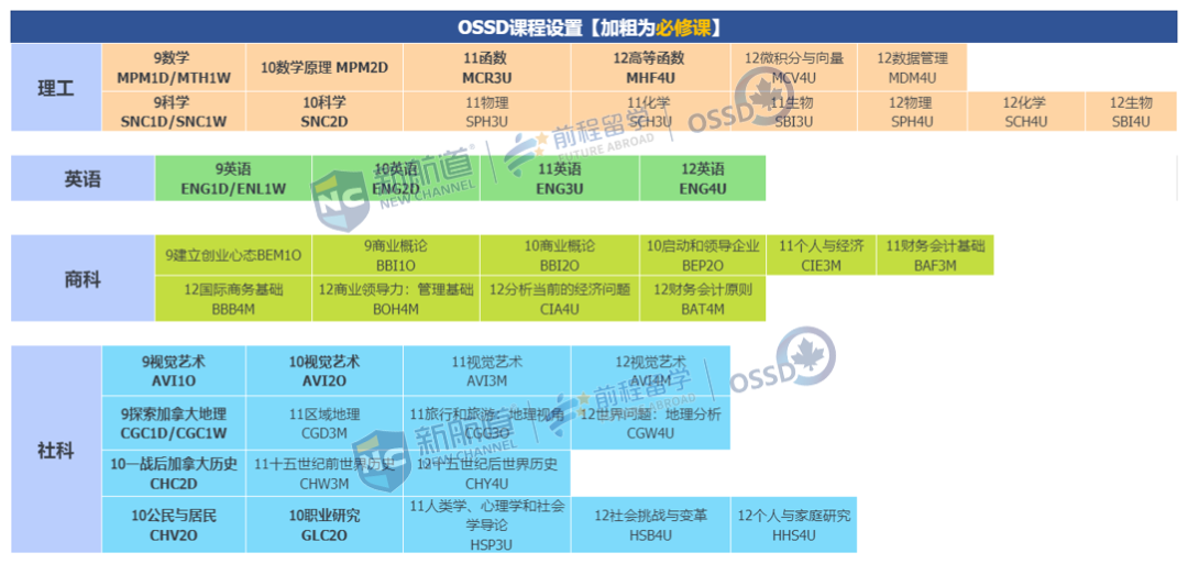 OSSD VS A-Level ：课程、难度、升学模式全解析