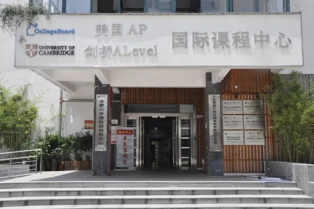 【干货收藏】合肥国际学校新高一A-LEVEL选课保姆级攻略！