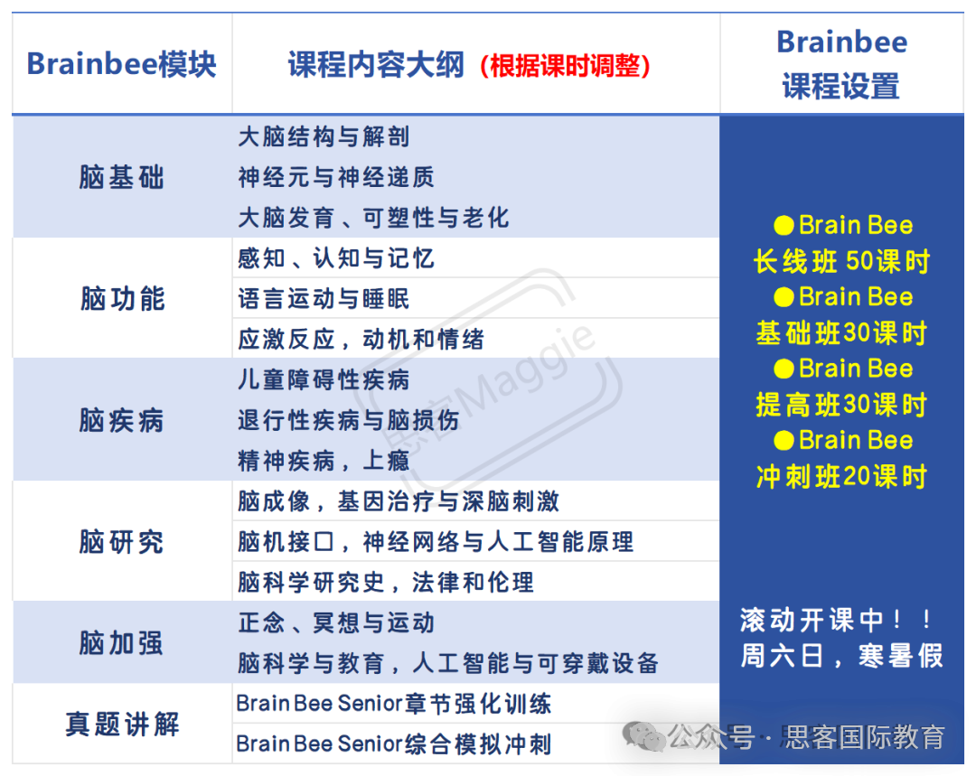 【生物竞赛】brain bee脑科学大赛备考攻略！5-12年级一定要知道~brain bee培训