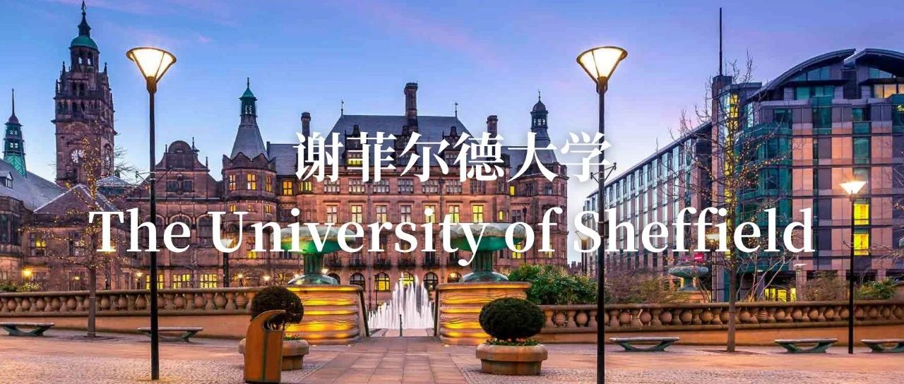 谢菲尔德大学详细介绍