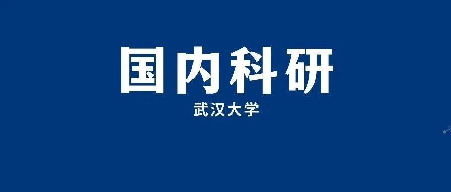 武汉大学正教授科研项目：申请卡内基梅隆大学计算机科学硕士需要哪些背景？