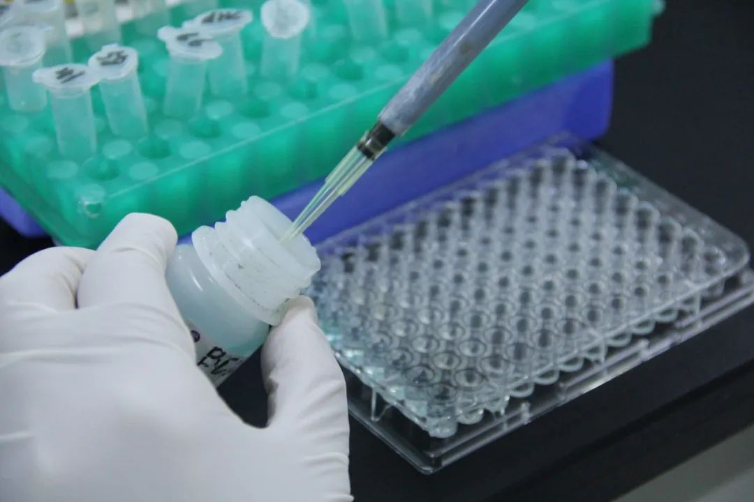 科研视角解析病因与实验模型
