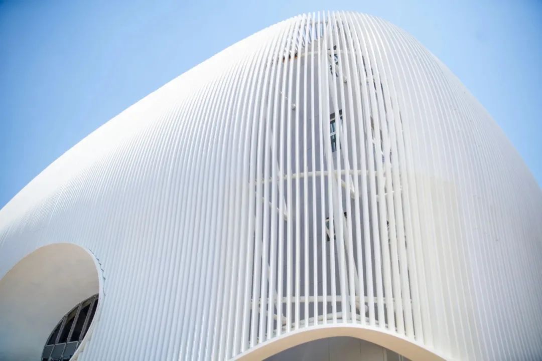 根系浦江 面向世界｜圣华紫竹双语兰香湖新校区正式启用 The Future Comes