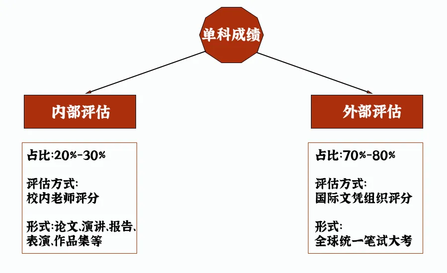 深受世界名校喜爱的IB课程，为什么是最难学的？ | 课程指南