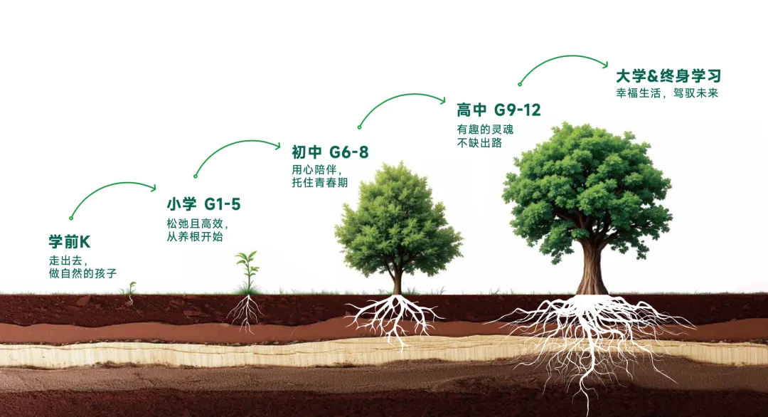 北京致知学校高中部2025年招生简章！