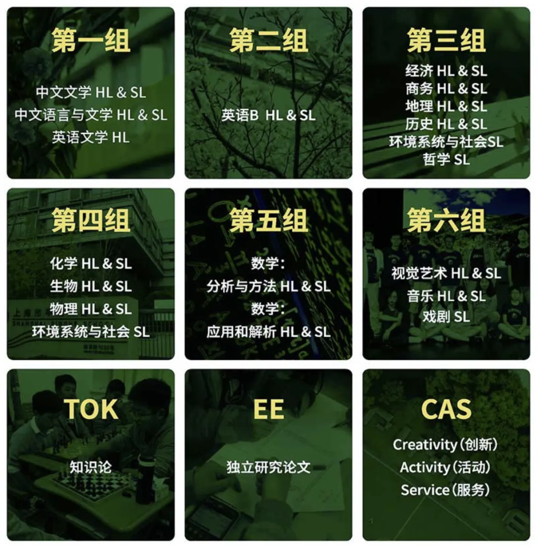 每日一校|上海平和IB课程设置/选课安排/升学方向