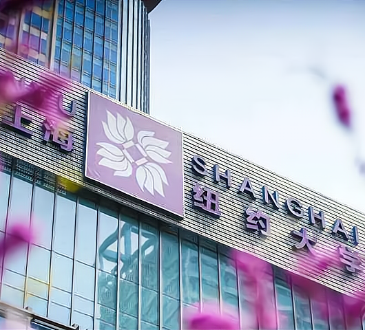 中外合办哪家强？快来看看它们的本科毕业生去向报告