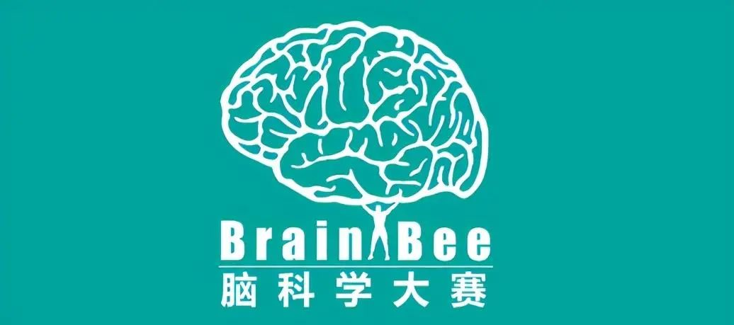 USABO/BBO/HOSA/Brain Bee/iGEM 有什么区别？适合申请哪些学校竞赛? 如何选择？一篇搞懂~