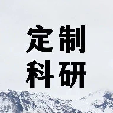 伦敦政治经济学院博士全球化时代媒介再现科研项目