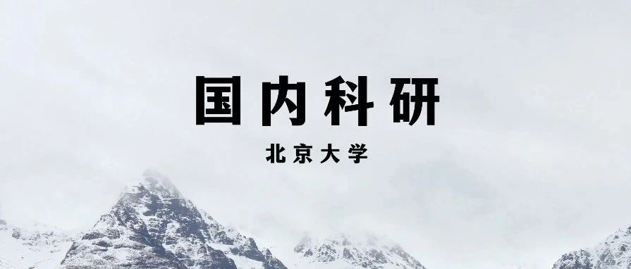 北京大学副教授科研项目：以商业经济博弈、经济诉讼和经济政策为例