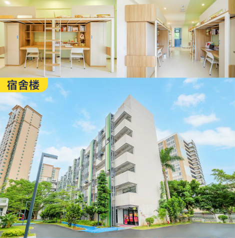 办学20年+12年一贯制！深圳这所美式老牌国际校，家长选校必看！