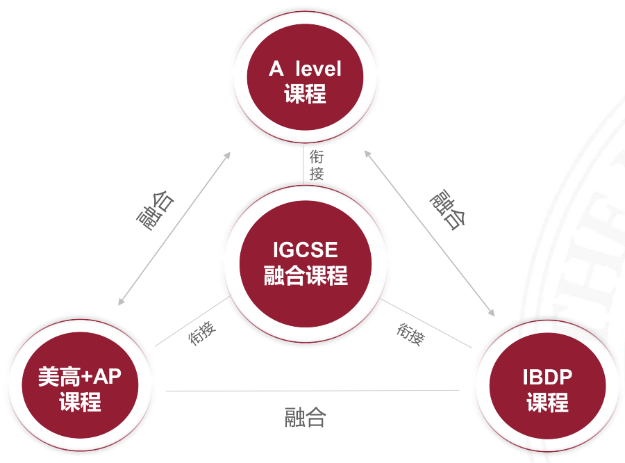 上海择校|上海美达菲高级中学