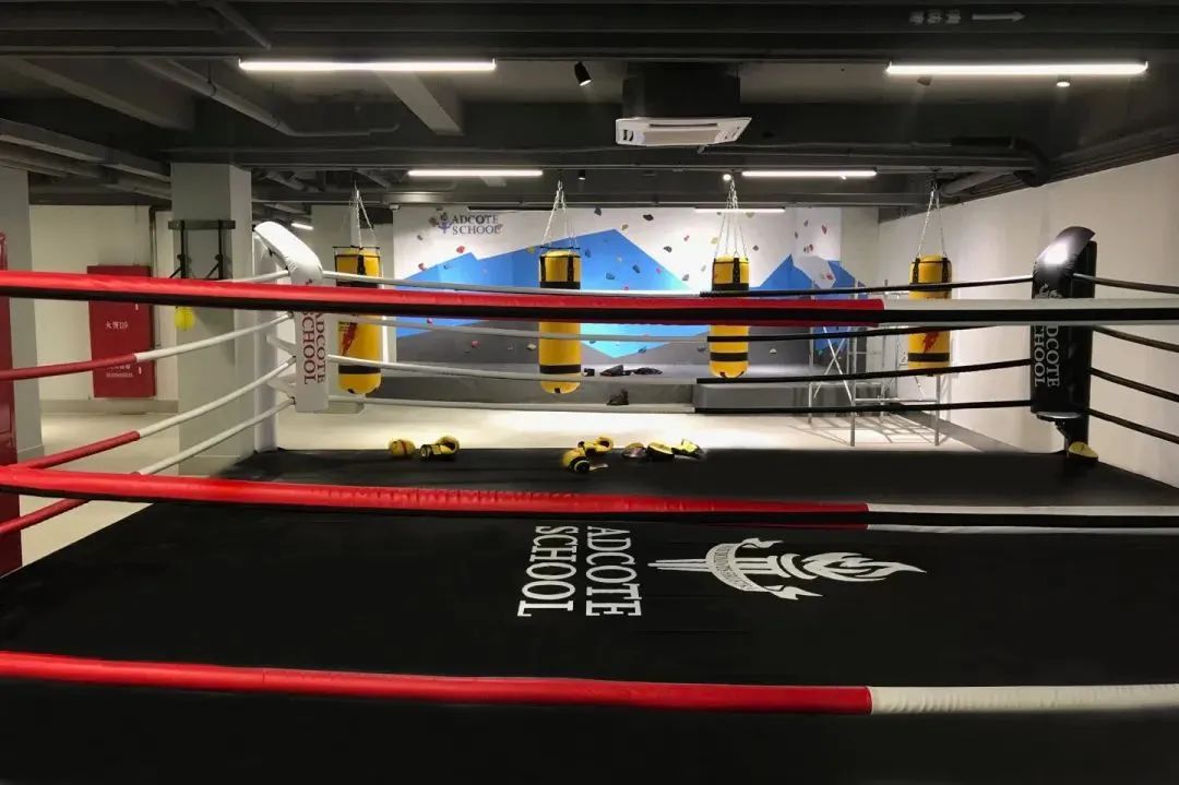 上海松江最美国际高中：上海阿德科特学校！
