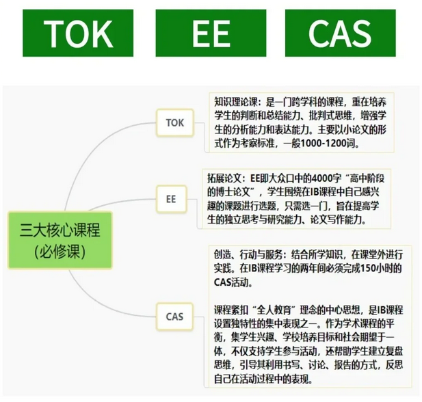 【一文读懂IB课程体系】课程体系+核心优势+机构课程培训全揭秘！