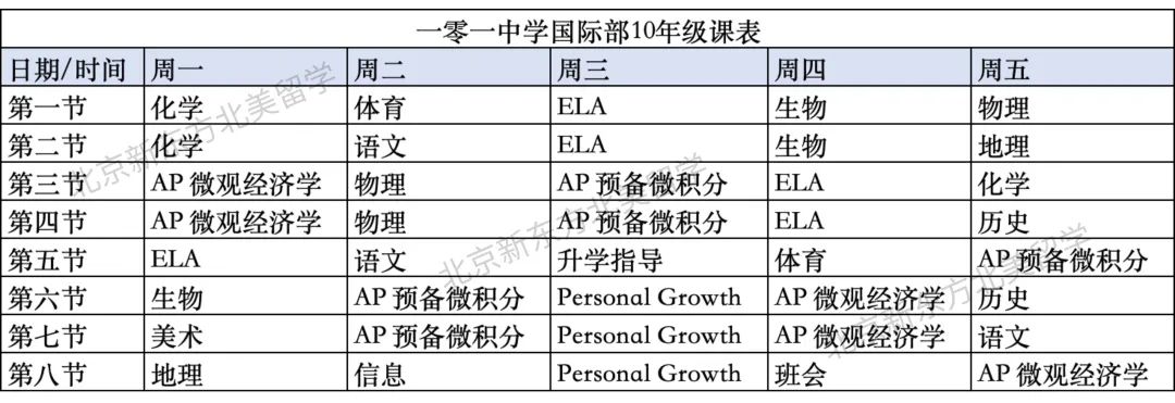 公立校一梯队国际部10年级都在学什么？AP考什么？