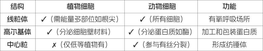 IGCSE 生物从C到A*的救星！IG生物21章核心考点全拆解