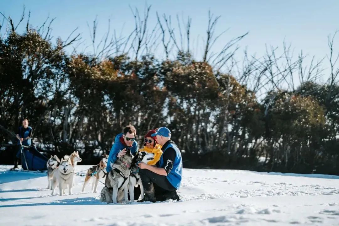 澳洲墨尔本寒暑假插班 反季滑雪/逐浪 签证便捷说走就走！
