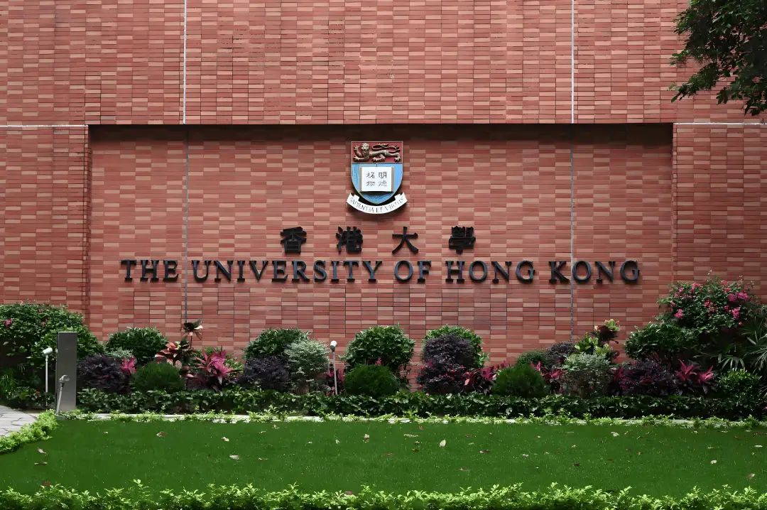 DIY港硕必看 港前五高性价比专业+申请策略 双非80+也能稳稳上岸