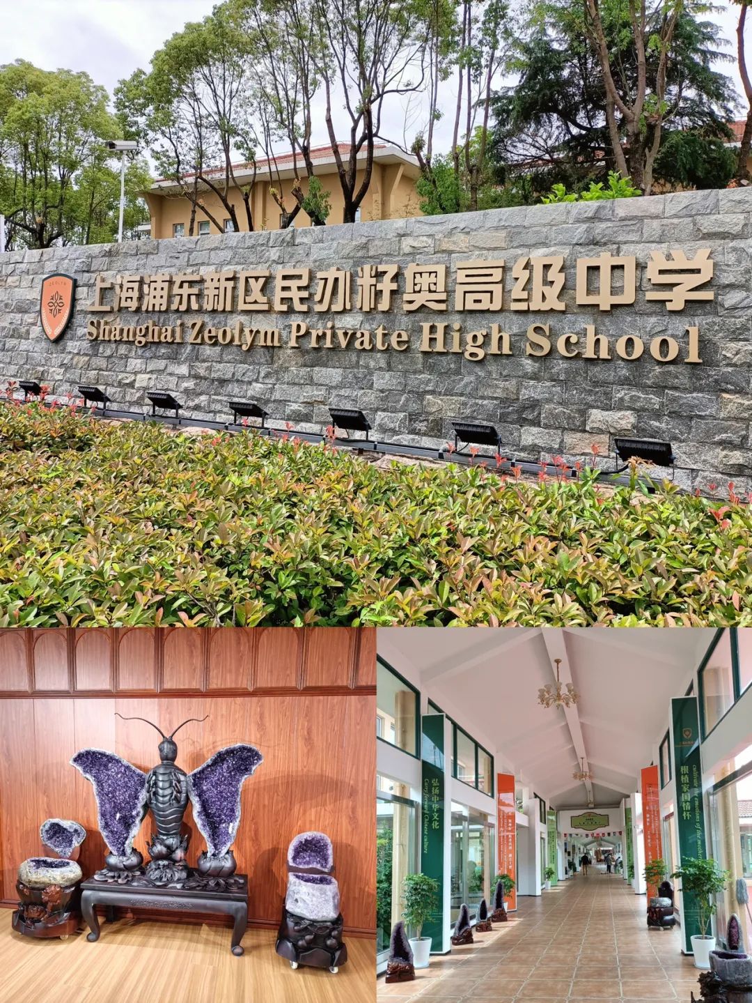 上海籽奥高中师资队伍稳定 为新学年发展注入活力！