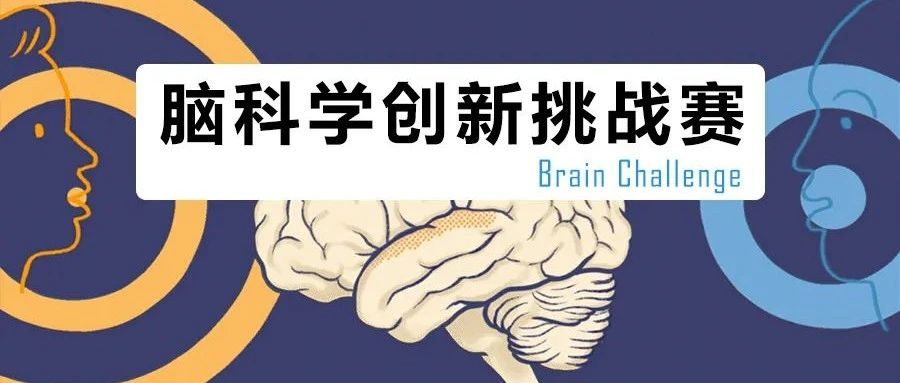 2025年脑科学创新挑战赛（Brain Challenge）获奖名单