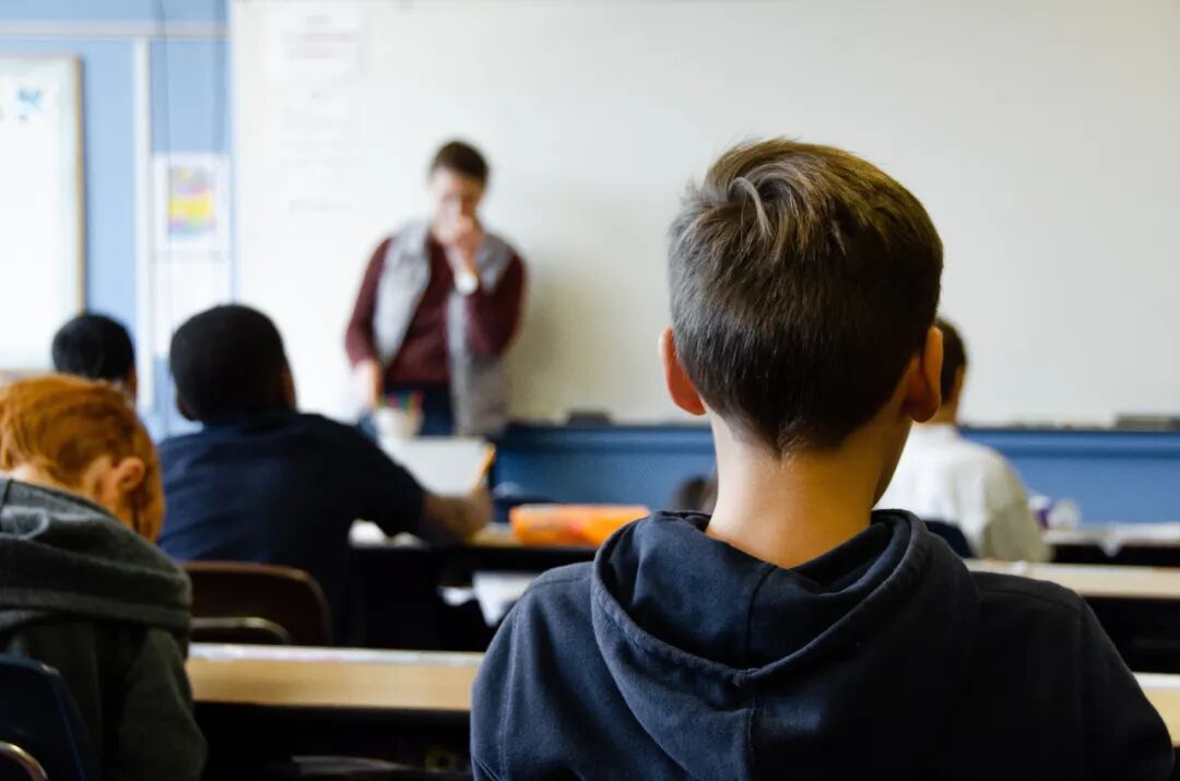 多元化视角下的教育现状评估与教学改革综合研究 | 剑桥大学终身正教授科研项目