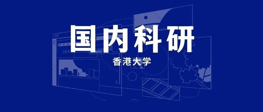 香港大学助理教授科研项目：基于机器人驱动原理的无人机设计与运动控制方法研究