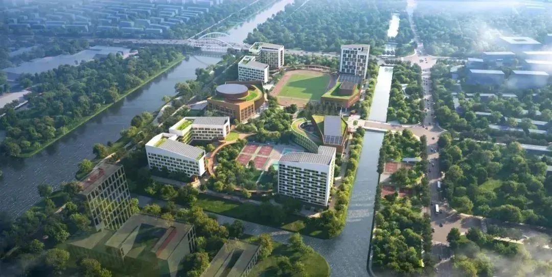 上海国际学校扩张进行时！平和/WLSA/领科有新动作？春招择校看这篇就够了~