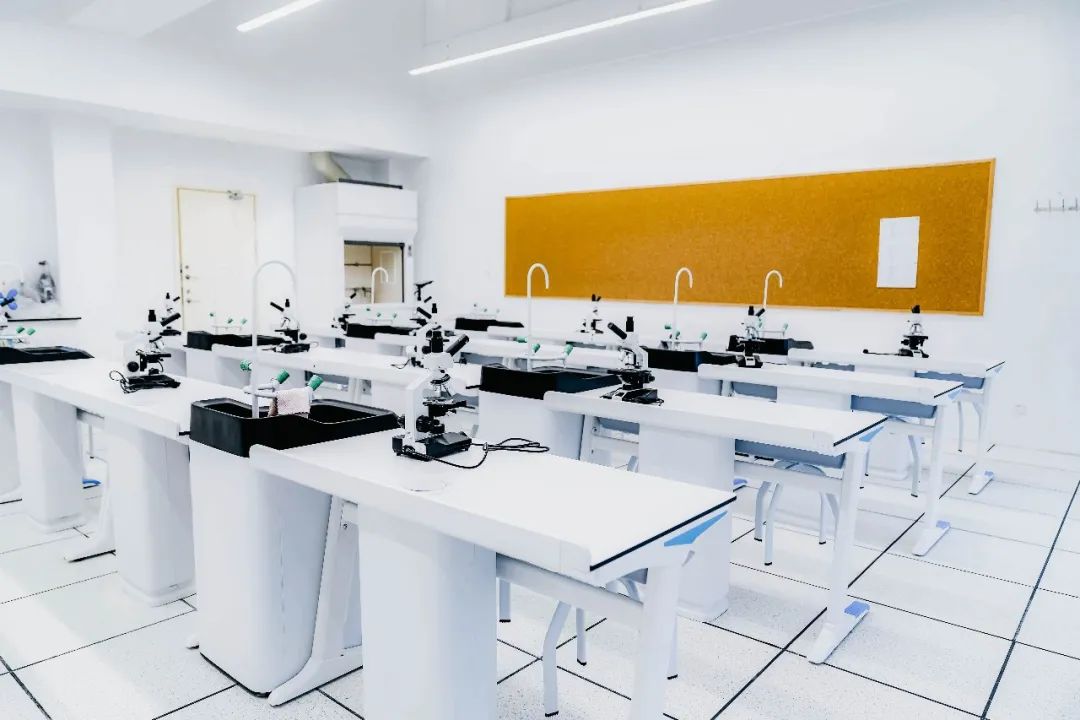 上海松江最美国际高中：上海阿德科特学校！