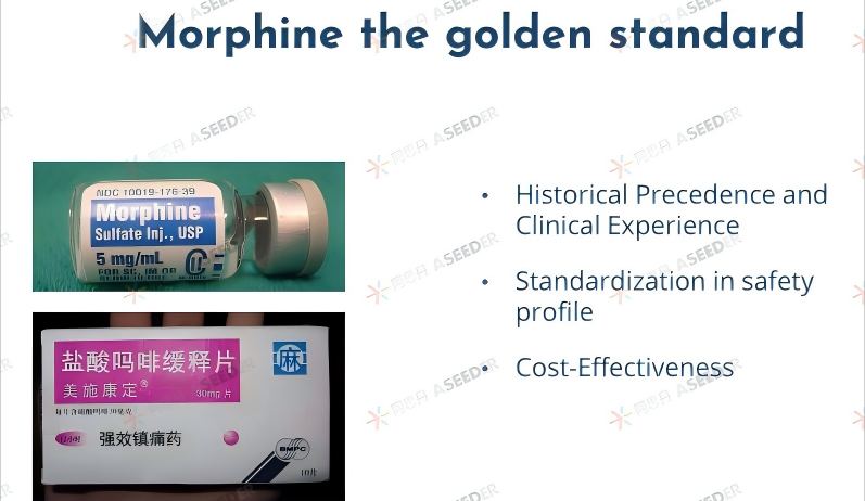【EPQ人物】在浮躁中找到学术净土：EPQ让我圆梦药理研究，收获深度学习体验和真正科研者思维！