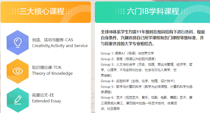 IB 课程深度解析：从核心特点到升学价值，谁更适合选择这一体系？