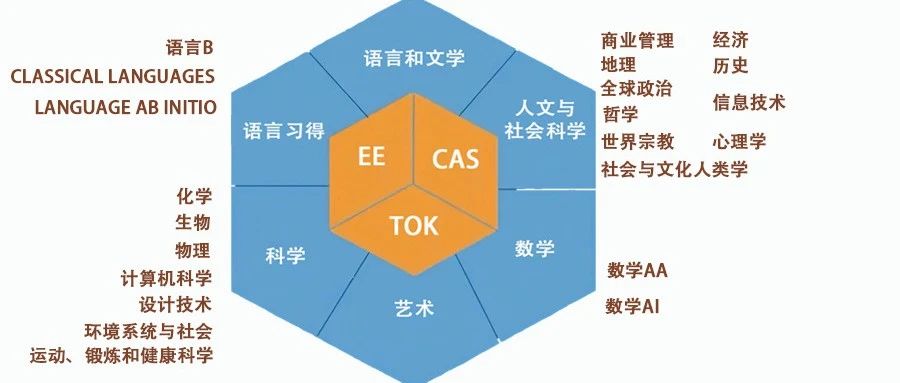 深受世界名校喜爱的IB课程为什么是最难学的？ | 课程指南