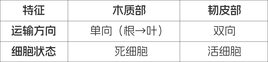 IGCSE 生物从C到A*的救星！IG生物21章核心考点全拆解