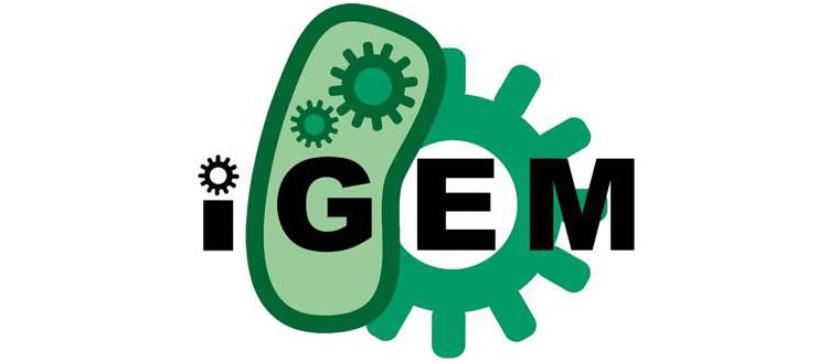 USABO/BBO/HOSA/Brain Bee/iGEM 有什么区别？适合申请哪些学校竞赛? 如何选择？一篇搞懂~