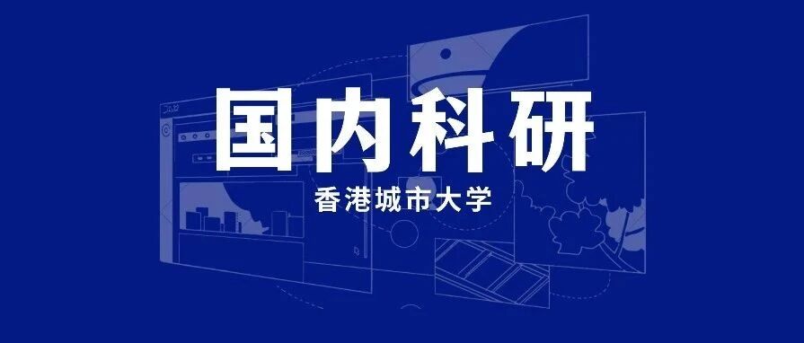 香港城市大学终身教授科研项目：数字足迹收集、建模和趋势预测在金融与商业实践中的应用研究