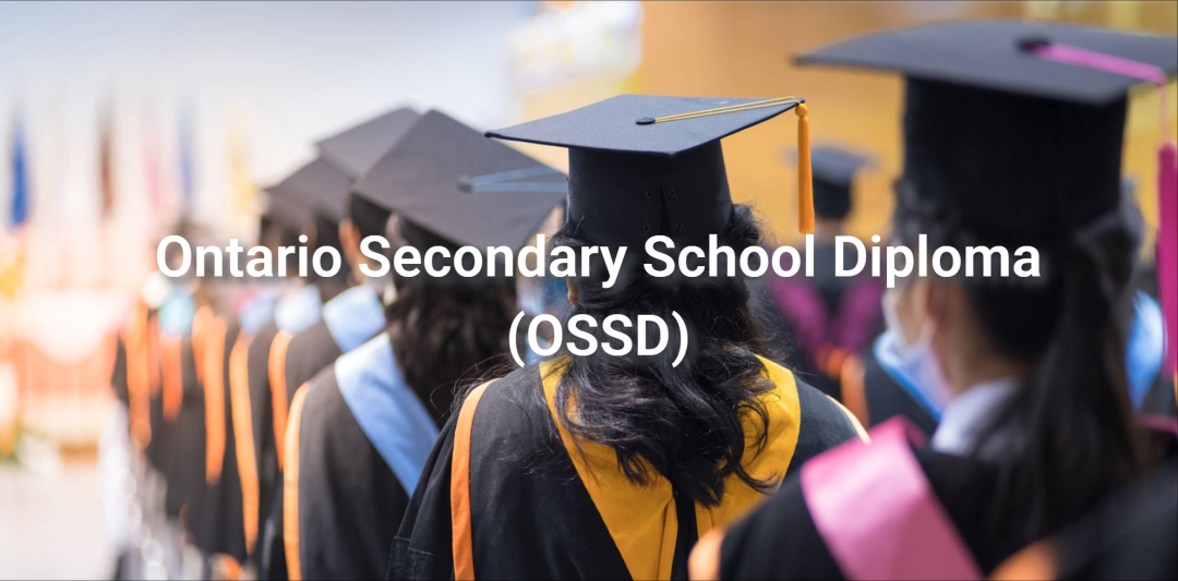 OSSD国际课程学分转换全解析：无缝衔接，让升学更高效！